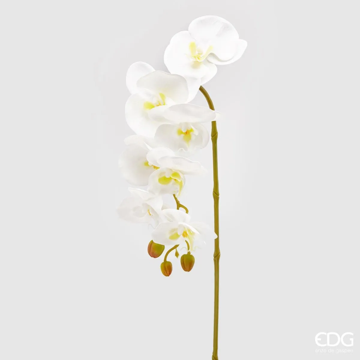 Edg - ramo orchidea bianco | rohome